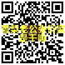 全球冰球选手齐聚一堂2022年冬季奥运会参赛国家概览