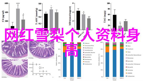 产地遥远的记忆之土