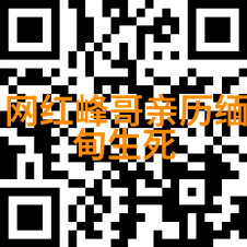 汪峰上头条我是如何在微博上撩到汪峰的