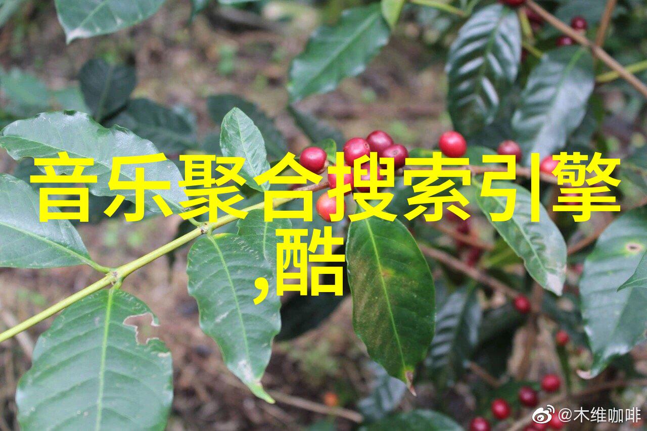 废妃改嫁新篇章皇家婚事的变局