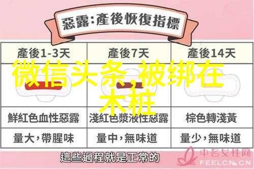 2023年新希望自强不息的岁月征程