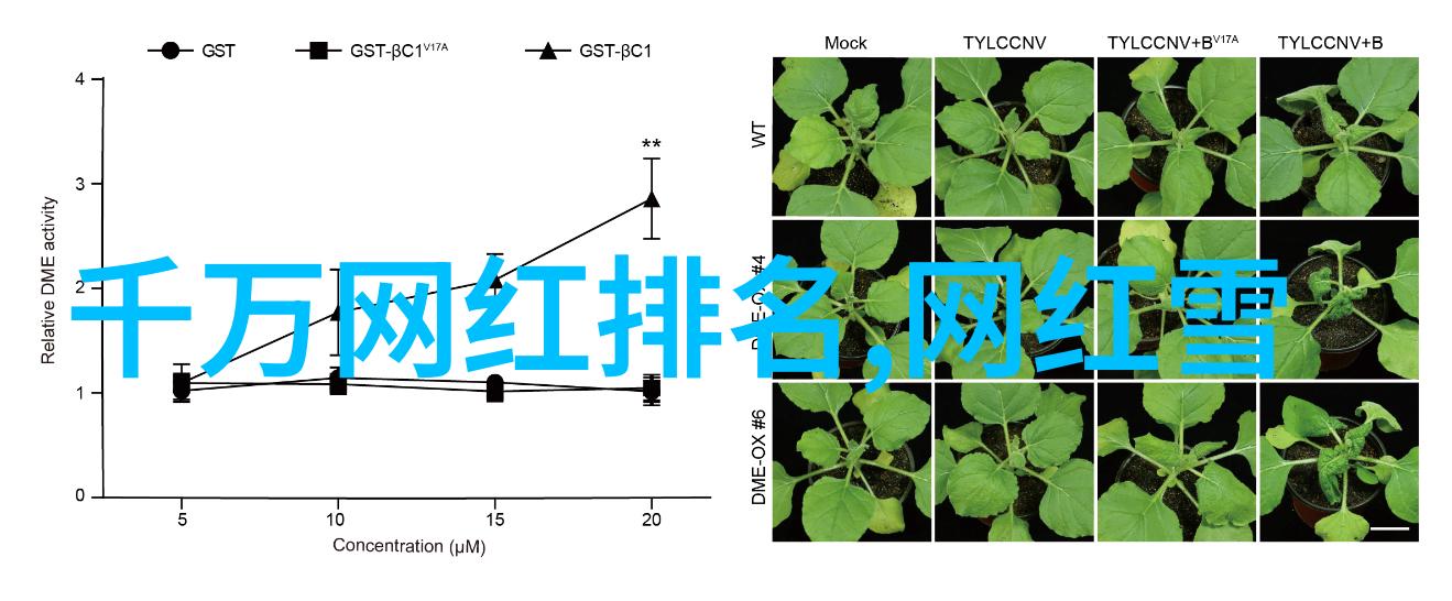 教父教父2和教父3的连贯性如何解释