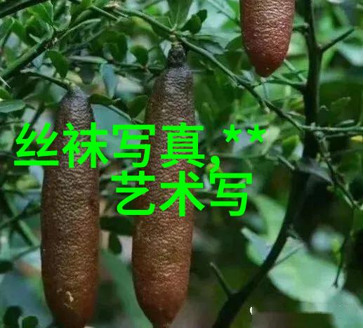 娱乐新闻最新热映影视大盘点揭秘观众喜爱的剧集和电影