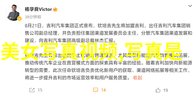 梦幕轻纱肖战与杨紫的幻影交响