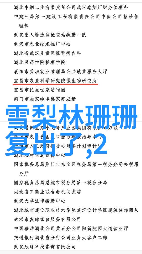 写真探索视觉表达与文化象征的交汇点