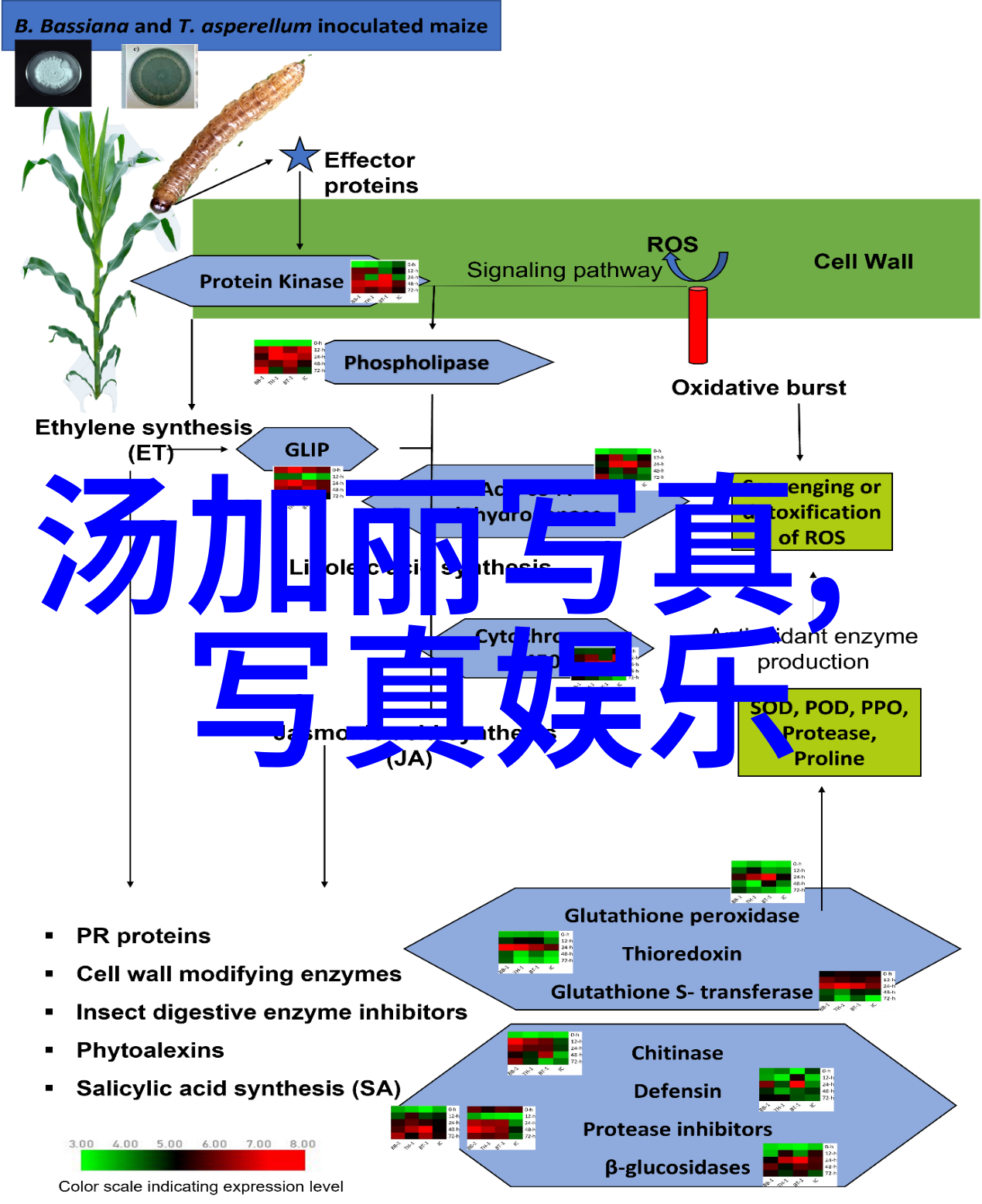 我和我的父辈章子怡单元亮相揭秘演员阵容与电影故事给个免费网站2021年能用的探秘影片深层含义