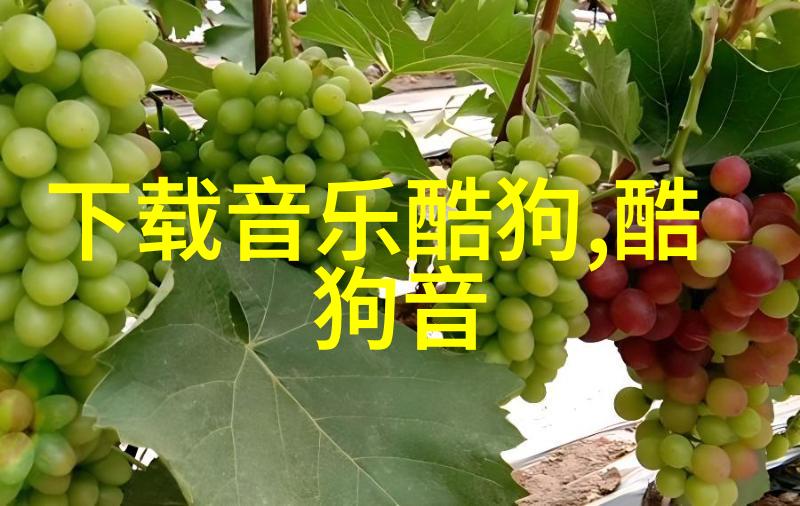 解密百度图片识别技术AI如何超越人类视力