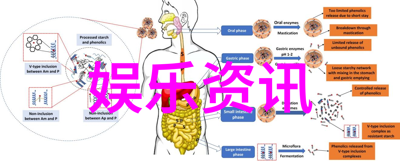 如何看待台湾一些知名主持人的个人魅力对综艺成功起到的作用