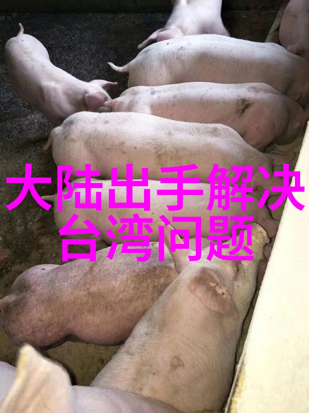 娱乐场所管理条例严格规范夜生活环境