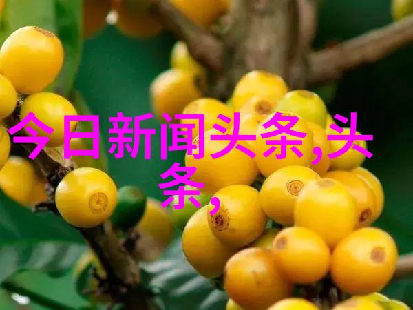 豆瓣电影影视品鉴与社区共享的艺术探索