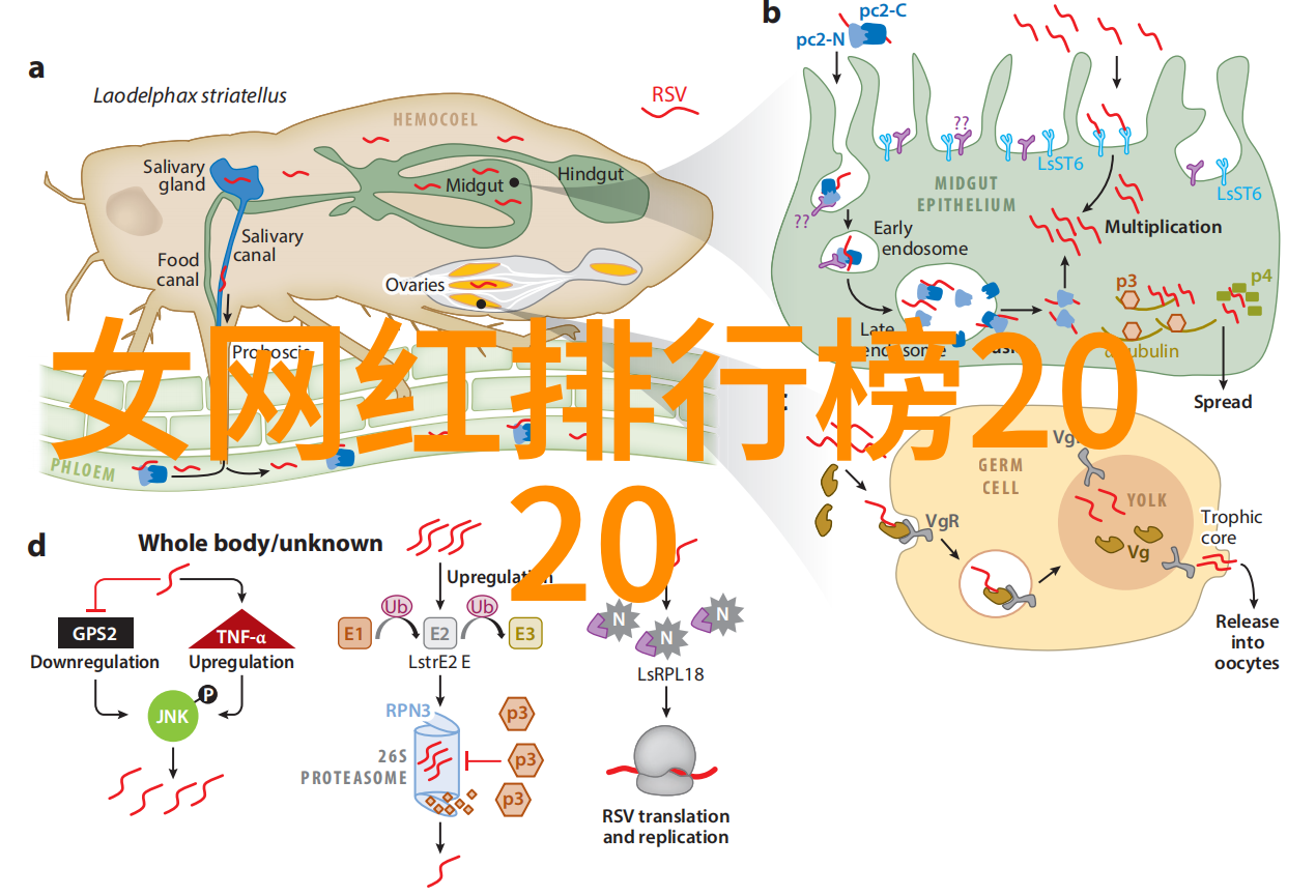 为你逆光而来会员大结局播出 悬疑甜宠收官成就抗战电视剧排行榜新高峰