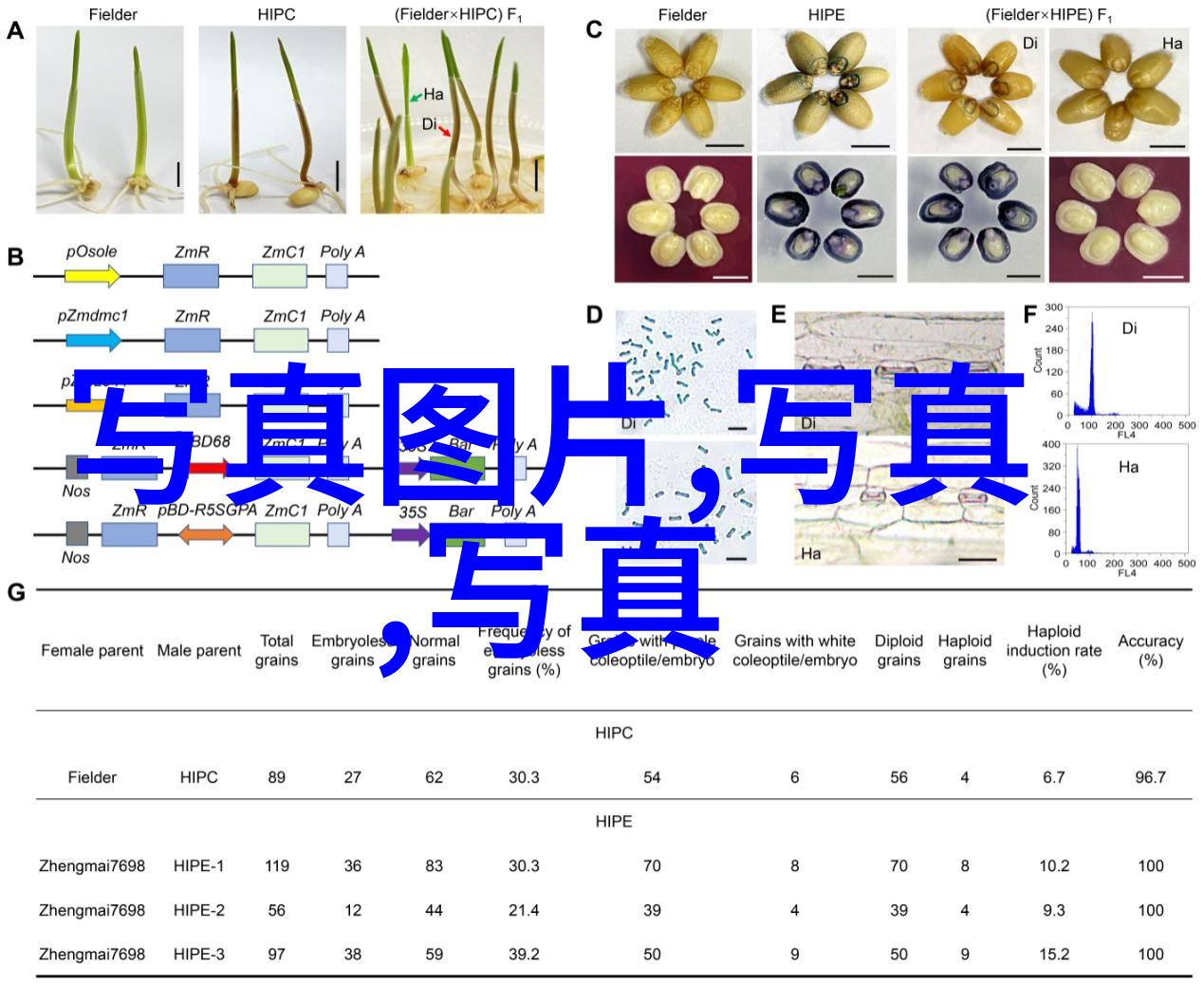 星光璀璨的秘密仓库