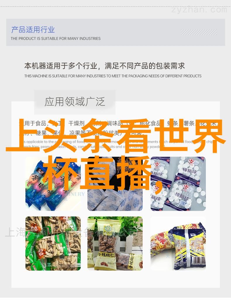 青春启航20岁黄晓明与香港回归的故事