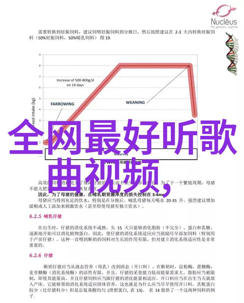 Bilibili私人直播指南 - 探秘B站私人直播间设置与管理的全攻略