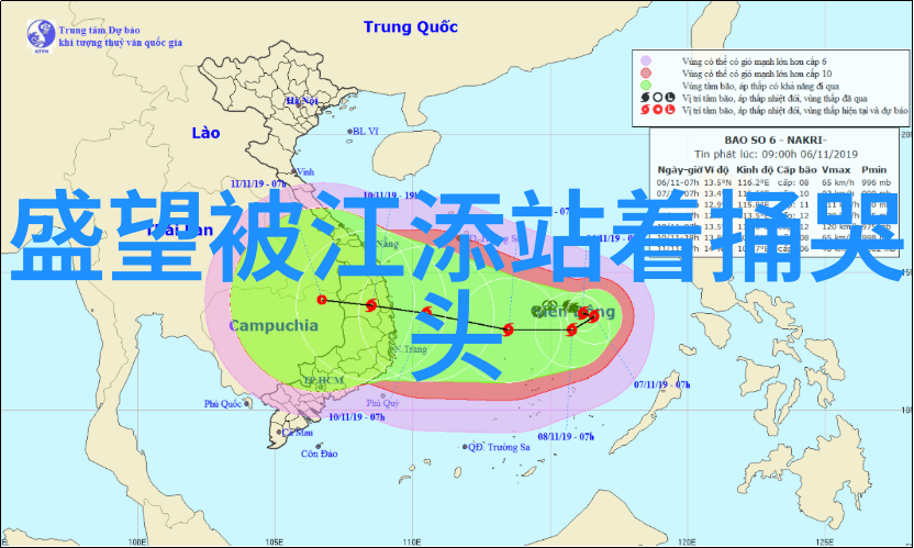 废柴兄弟3 电视剧我的青春不负相遇