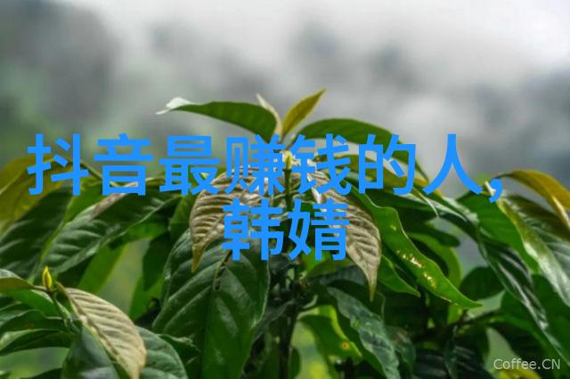 在虚拟现实的海洋中酷客影视能否成为探险者的指南针