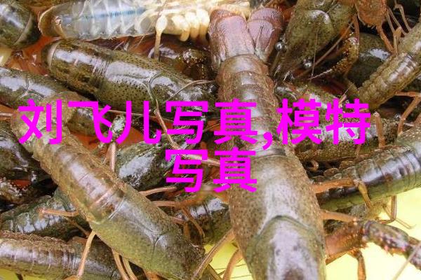 从生物多样性角度出发我们是否应该重新评估当前的地理划分体系