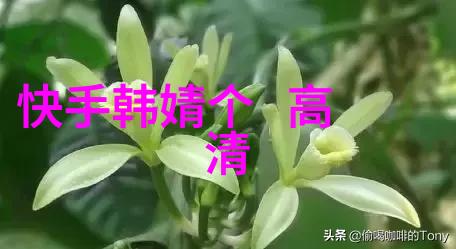 数字时代的心灵画廊虚拟背景下的真实人像摄影