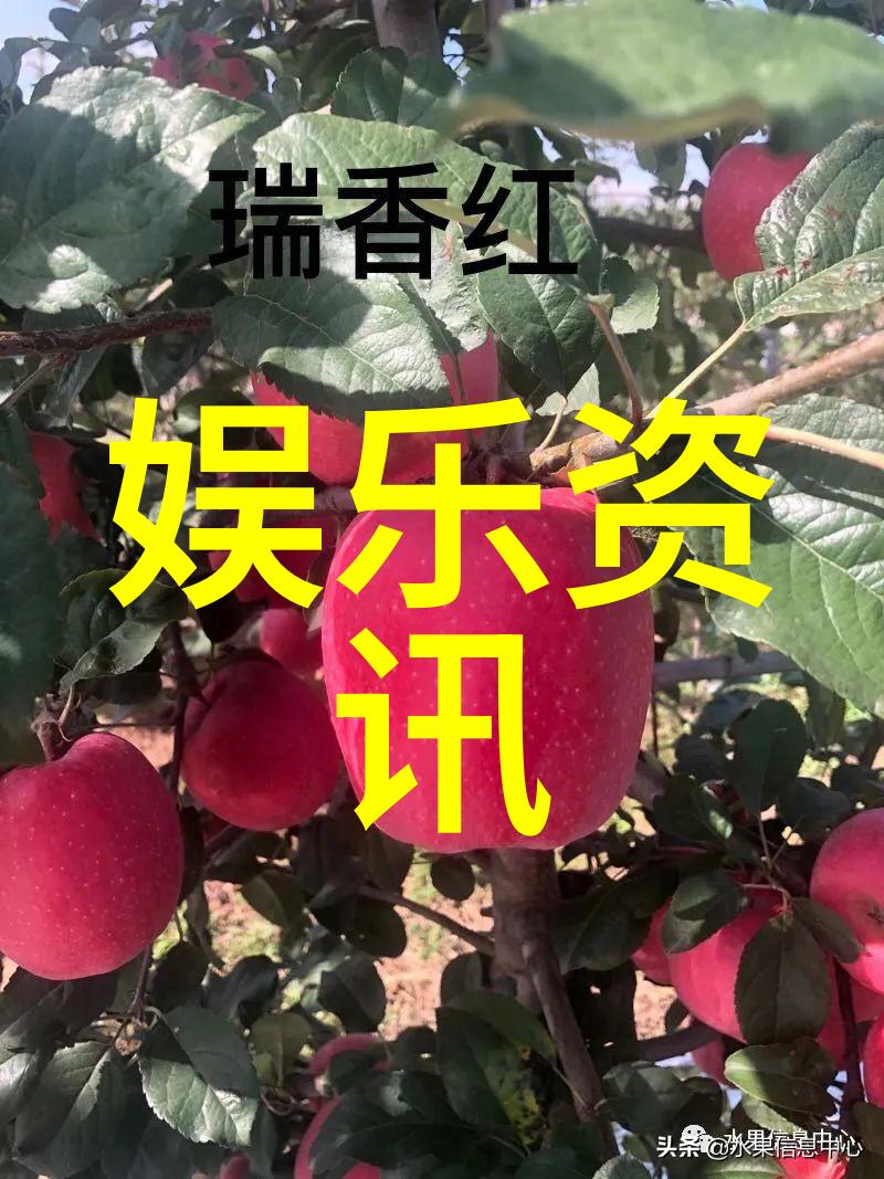 策驰影视灰原哀首次亮相之谜- 深度解析这位令人着迷的角色