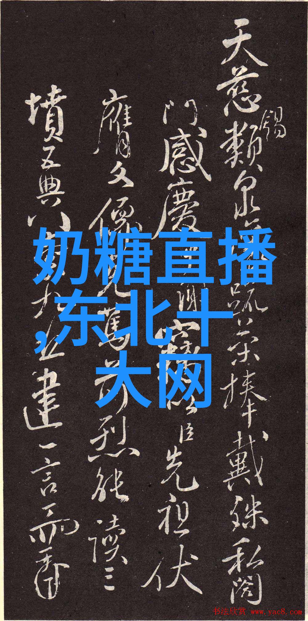 2022抖音十大网红排行榜我来盘点这些火爆的网红们是怎样炙热一整年的