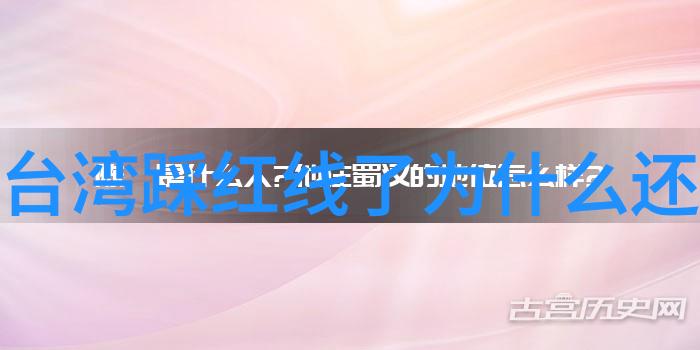 红毯背后的故事探索呼叫大明星电视剧的真实面纱