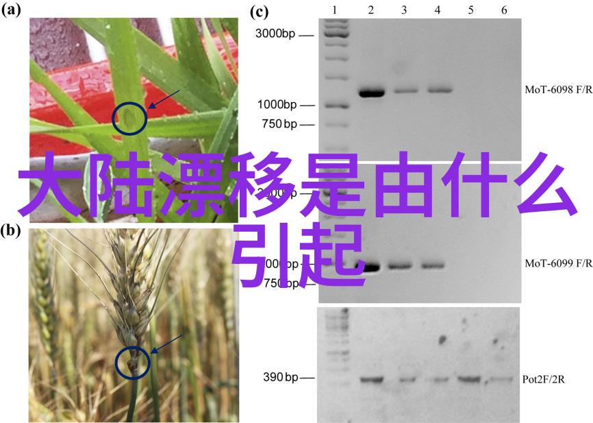 一个吃上面一面膜我的自我护肤小冒险