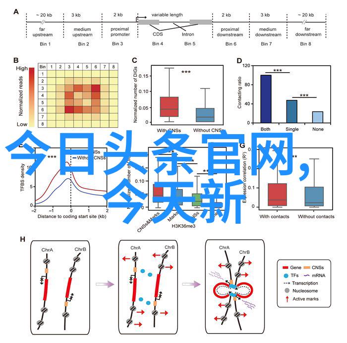 音乐酷狗-探索酷狗音乐世界发现新乐趣共享美好时光