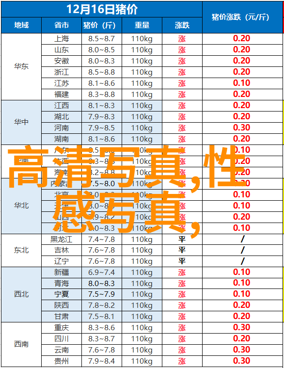 角落娱乐隐藏在时光中的乐趣探秘