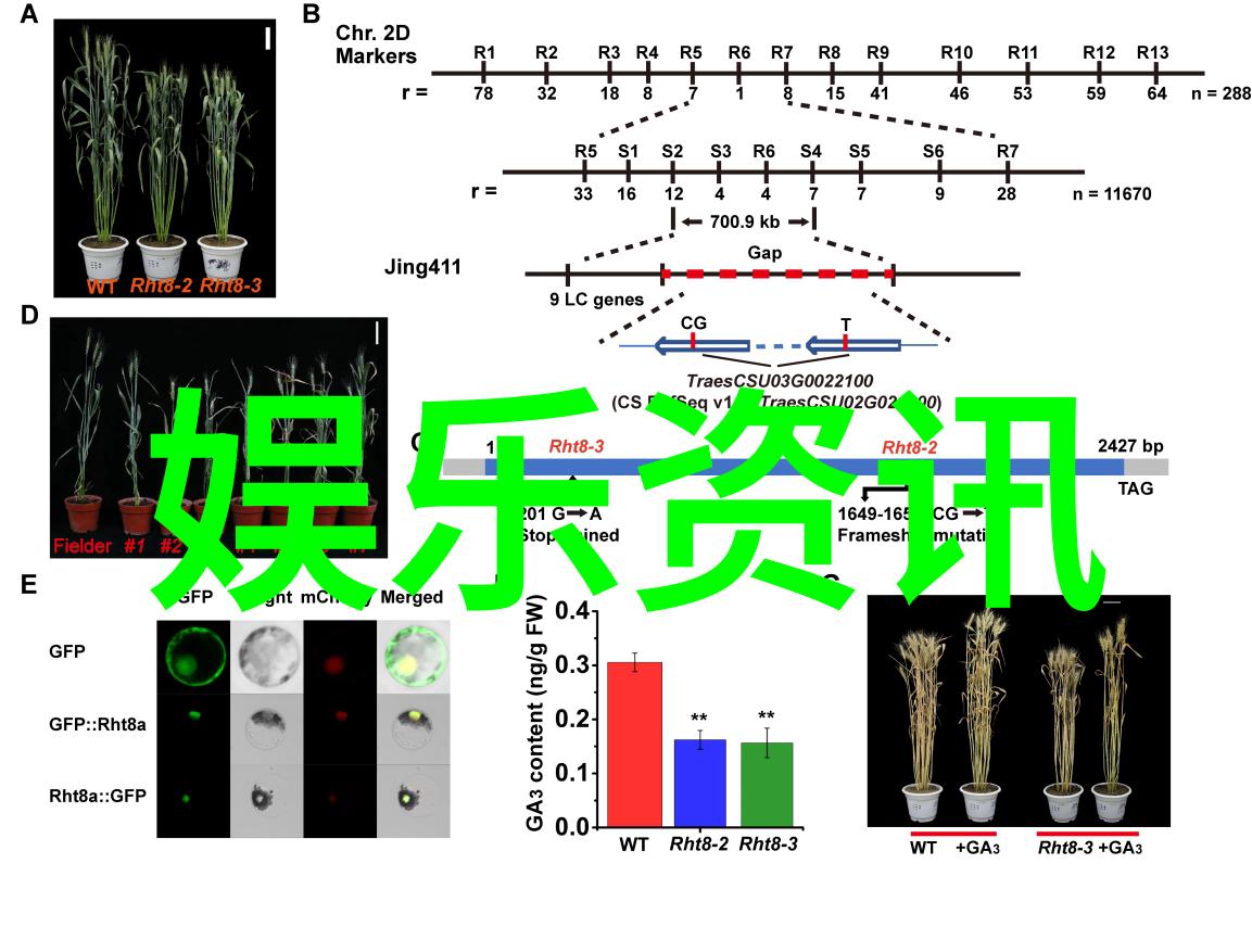 汤头条滋味盎然的生活篇章