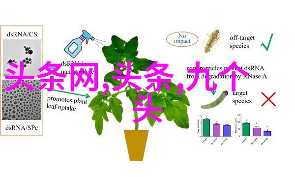 娱乐重启从零到英雄的逆袭之旅