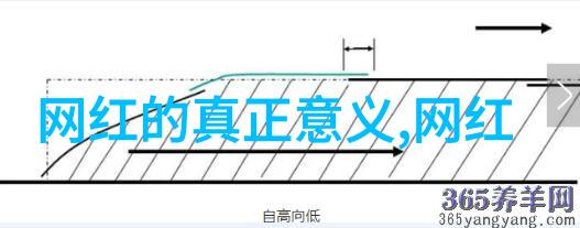 日本成人综艺中的文化象征与社会反映研究