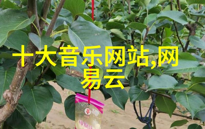 斗罗大陆4终极斗罗神秘觉醒的力量