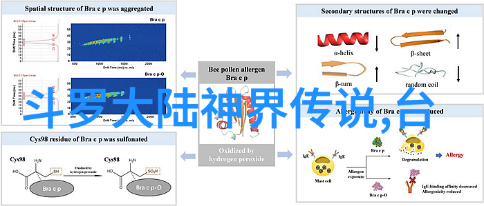 青春盛宴极品视觉的绽放