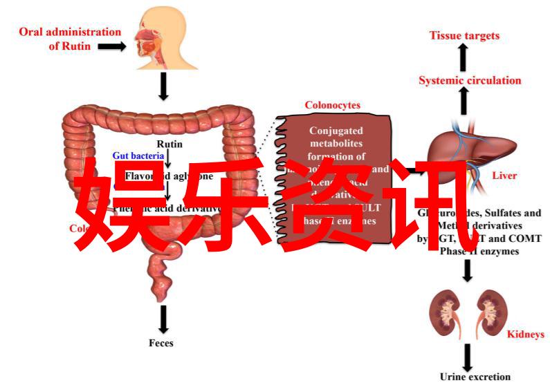 赛琳娜公开确认与哈德逊比伯的分手日后将寻求新的恋情伙伴