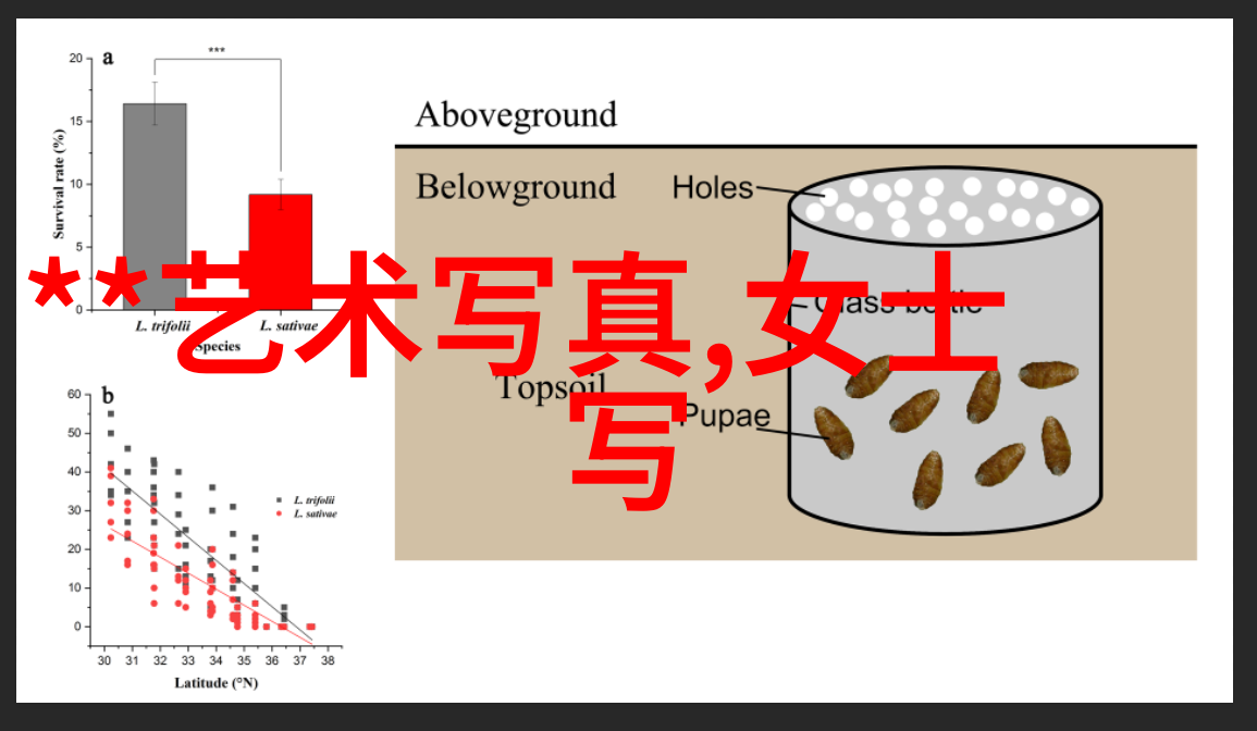 中国好声音(青春唱响的音乐梦想)