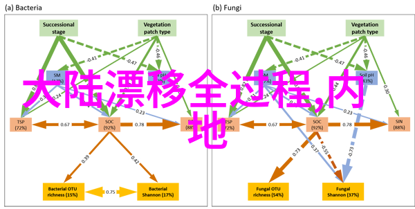 学爸父子成长的电影之旅