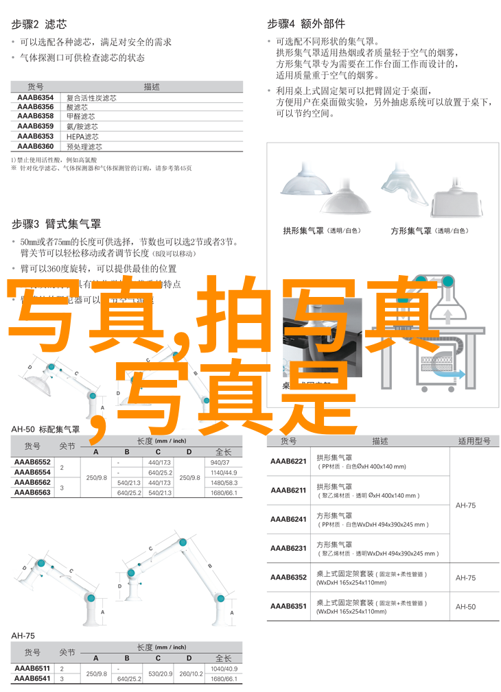 主题我是娱乐圈霸凌事件的见证者我的噩梦与复仇