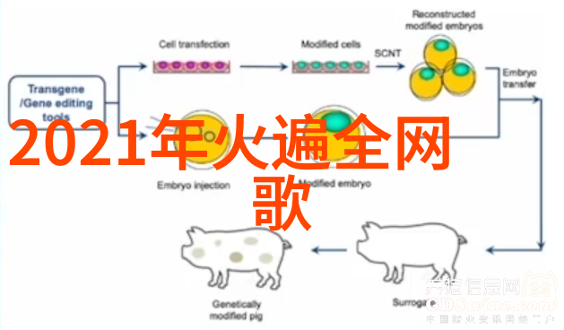 隐形杀手新一代无人机如何重塑现代战场