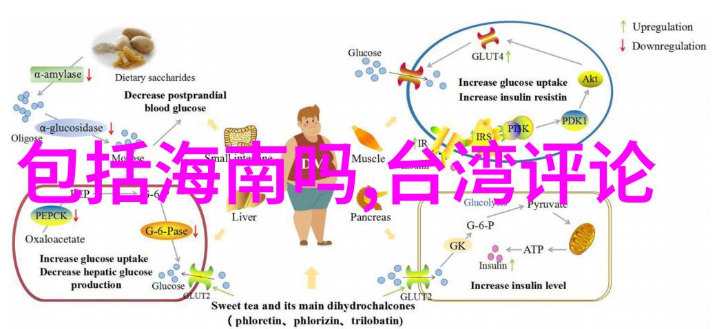 探索柳岩写真的艺术魅力与文化深度