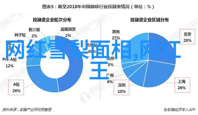 数字的梦境17313的迷雾之旅