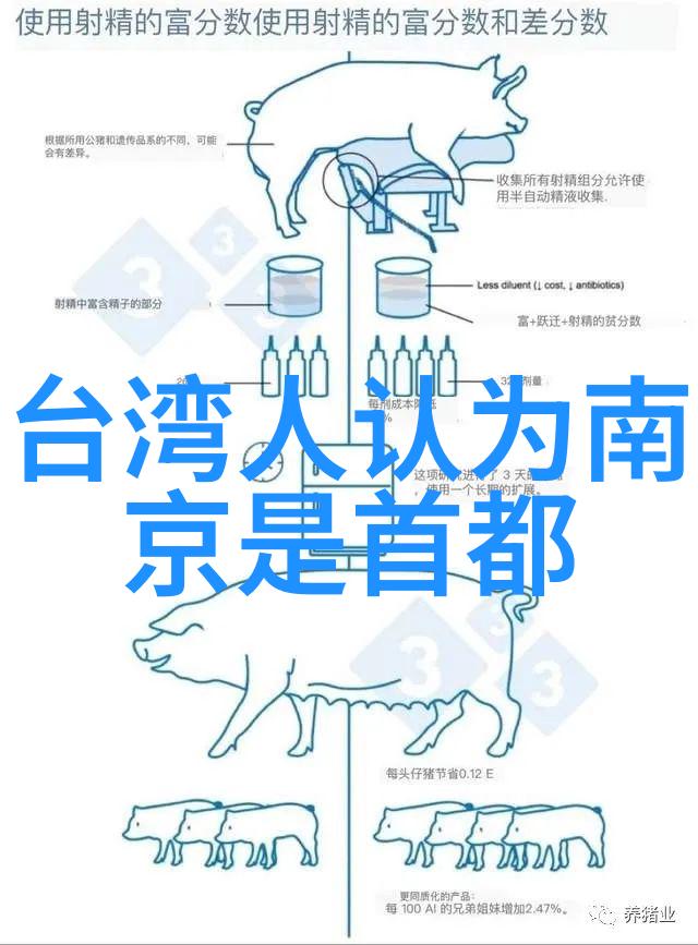 从零到英雄建立一个高效的头条搜索系统指南