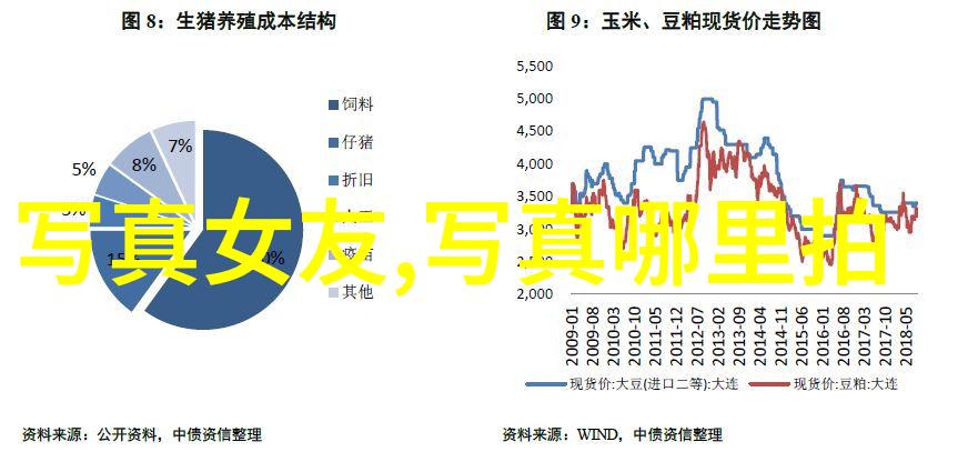 陈依依探索台湾现状物品背后的故事