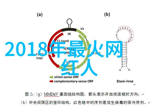 绑在木桩上的绝望木桩间的两腿无助