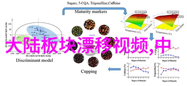 大陆人一个名字背后的故事