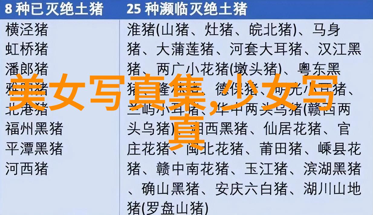 PDF深度解析421页中的恶心之源