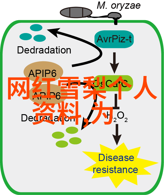 乘坐公共交通的意外艺术2张未预期的照片故事