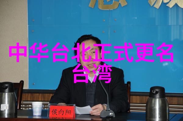 随便找个人结婚吧探索现代婚姻的意外发现与深刻反思