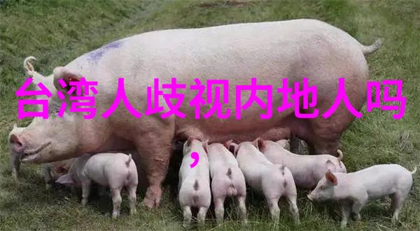 影后新戏曝光与小鲜肉共演激发粉丝热议