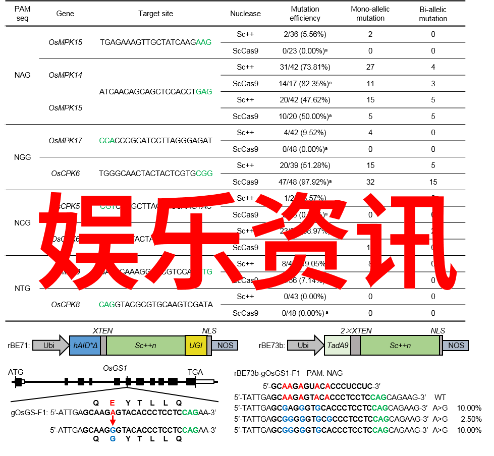 正大的演播风格有哪些特点能够吸引观众