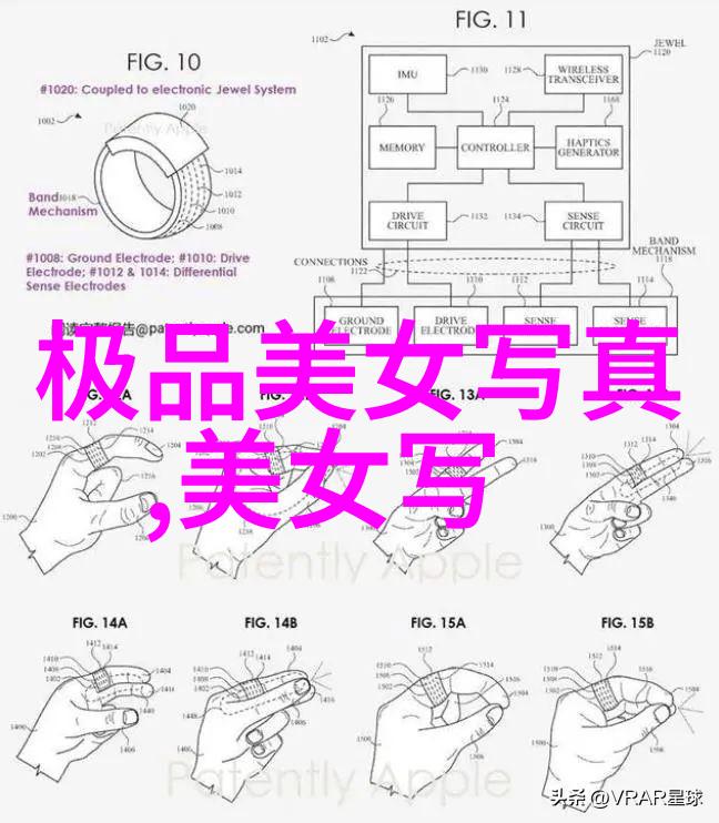 娱乐圈小说星光熠熠的背后秘密